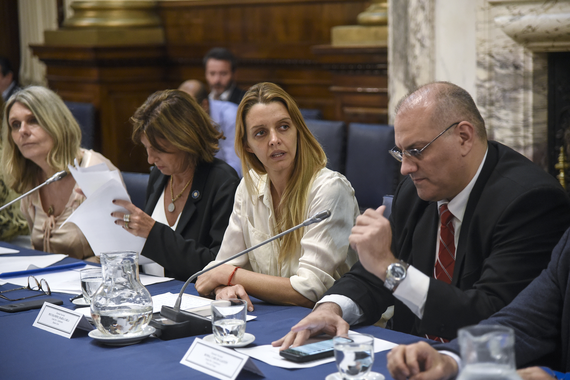 Galeria de imagenes de la noticia SE CONFORMARON LOS GRUPOS DE AMISTAD CON NORUEGA, SUIZA Y CON EL GRUPO REGIONAL EFTA
